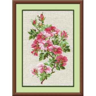 Riolis Kit de broderie Rose sauvage de mai