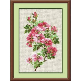 Riolis Kit de broderie Rose sauvage de mai