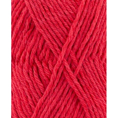 Phil Partner 3,5 Corail