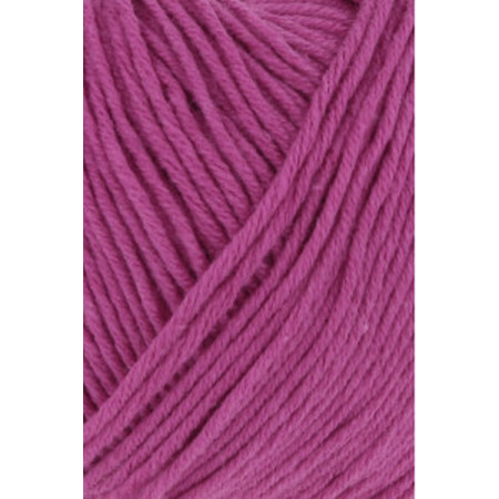 Oceania 064