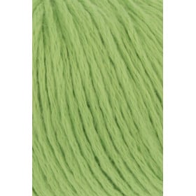 Amira Light 016