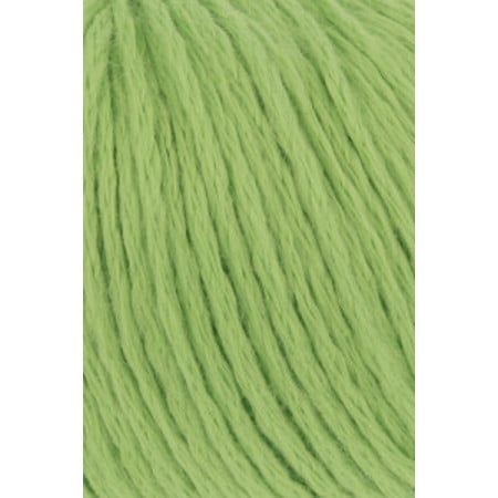 Amira Light 016