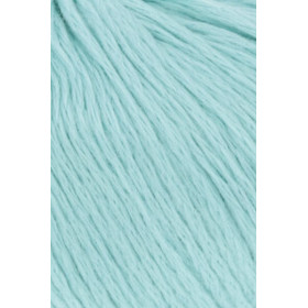 Amira Light 058