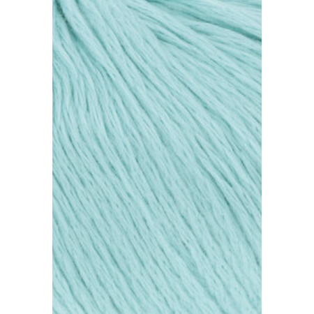 Amira Light 058