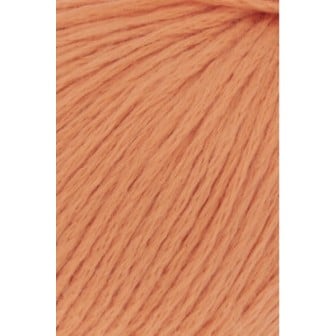 Breiwol  Langyarns  Amira Light 059