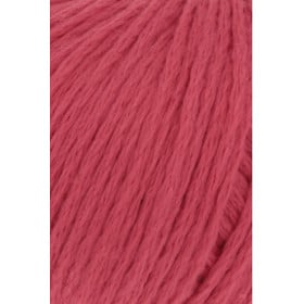 Amira Light 060