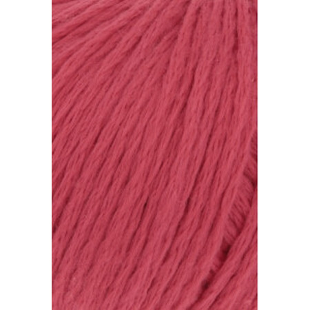 Amira Light 060