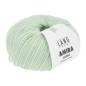 Amira Light 191