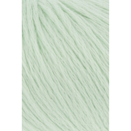 Amira Light 191