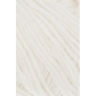 Knitting yarn Wooladdicts Bliss 0094