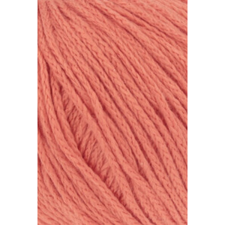 Norma 0061