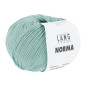 Norma 0072