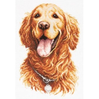 Borduurpakket Golden retriever