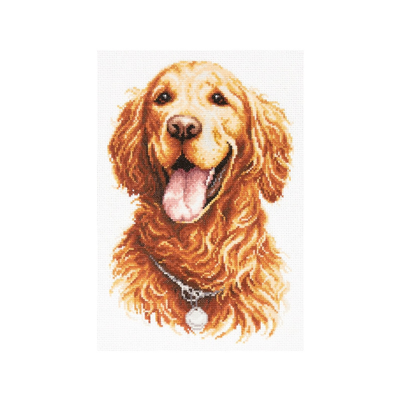 Embroidery kit Golden Retriever Embroidery kit Golden Retriever