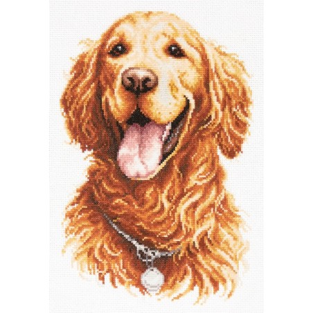 Borduurpakket Golden retriever