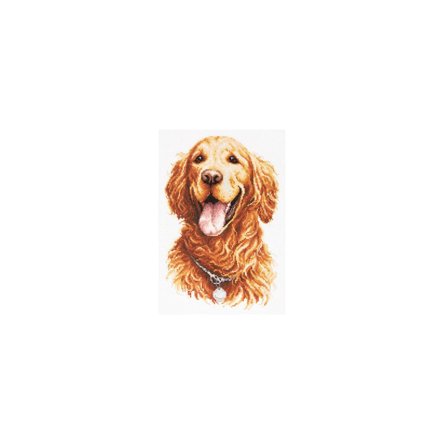 Embroidery kit Golden Retriever