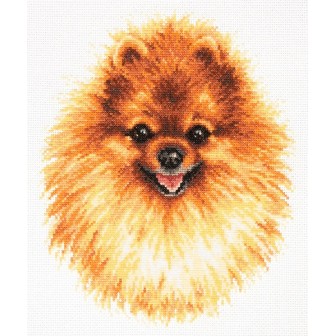 Embroidery kit Pomeranian