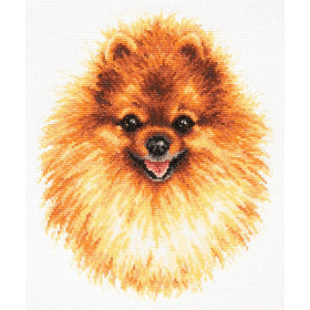 Embroidery kit Pomeranian