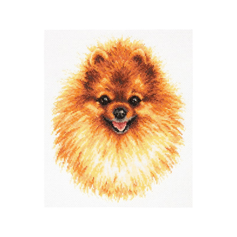 Embroidery kit Pomeranian Embroidery kit Pomeranian