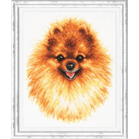Kit de broderie poméranien