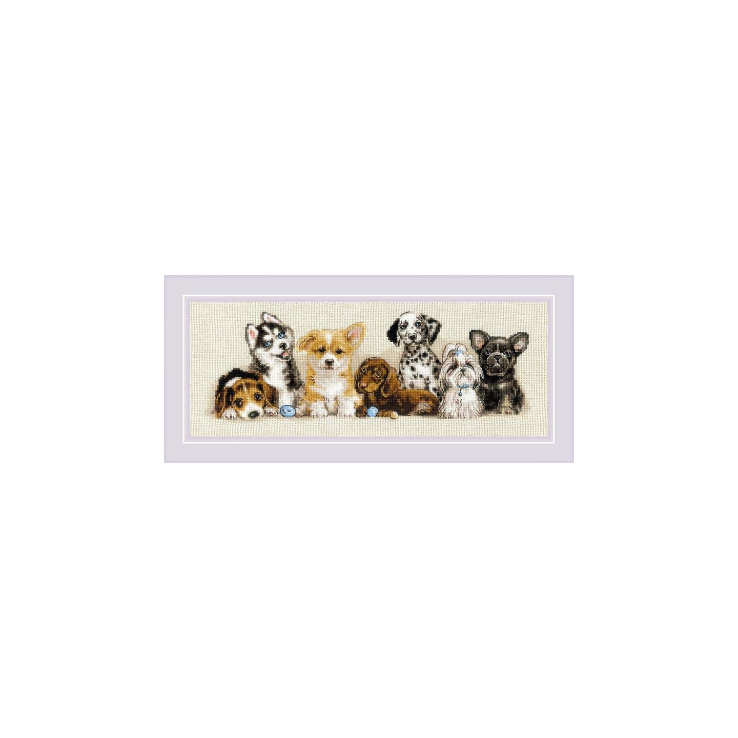 Riolis Kit de broderie Chiots