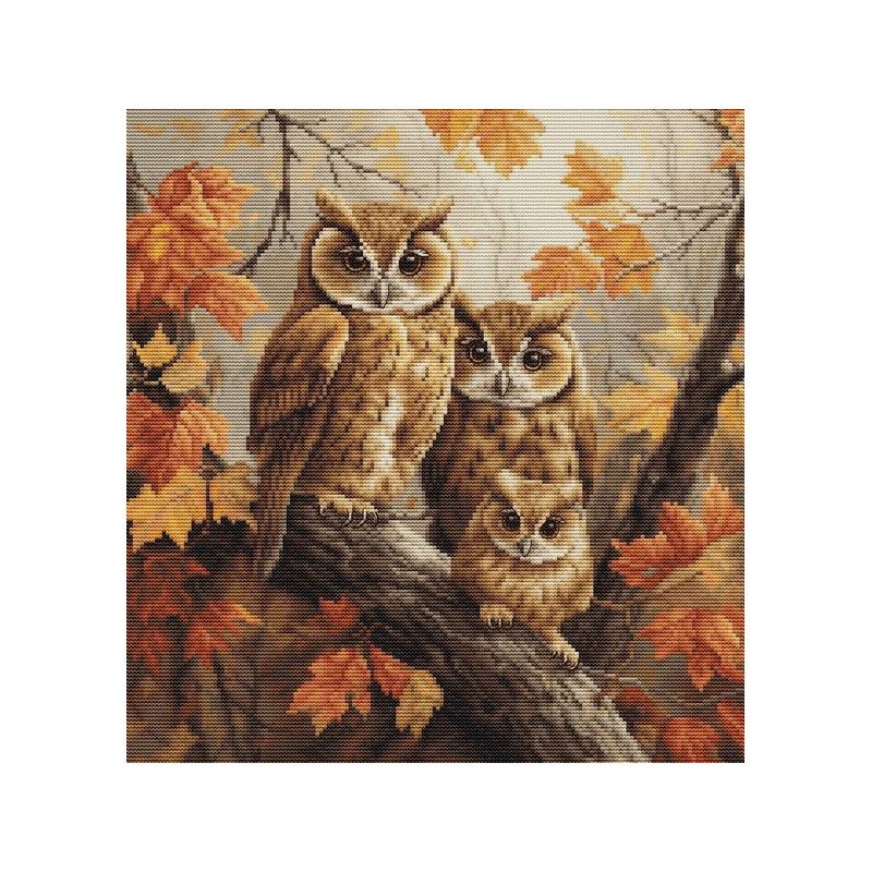 Kit de broderie La famille des hiboux