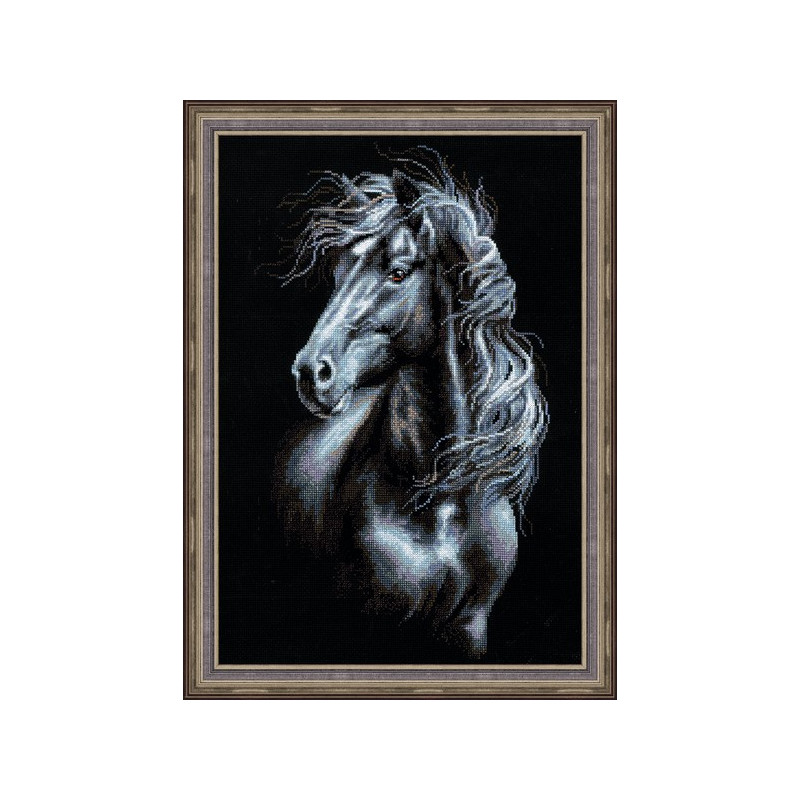 Borduurpakket Wind door manen Borduurpakket Wind door manen