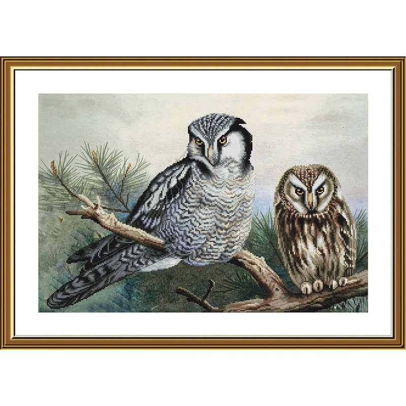 Embroidery kit Owls Embroidery kit Owls