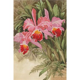Embroidery kit Tropical orchid