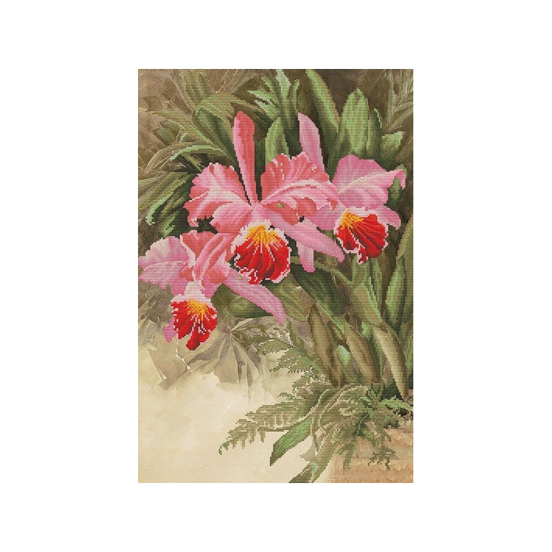 Kit de broderie Orchidée tropicale