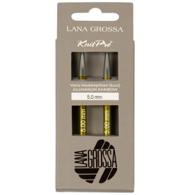 Vario Rainbow court aiguilles interchangeables 5 mm