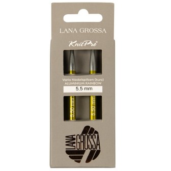 Vario Rainbow court aiguilles interchangeables 5,5 mm