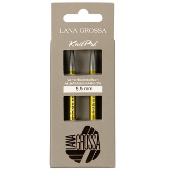 Vario Rainbow aiguilles interchangeables 5,5 mm