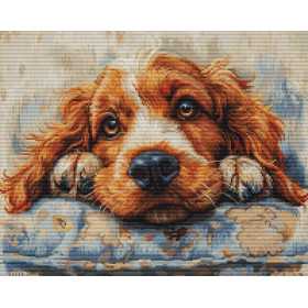 Luca-S Kit de broderie Cocker Spaniel