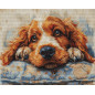 Stickset Cocker Spaniel
