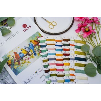 Embroidery kit The Song of the Birds