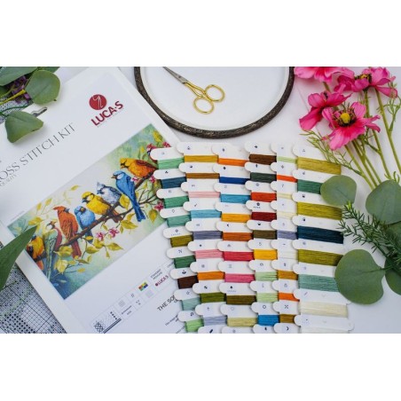 Kit de broderie Le chant des oiseaux