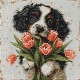 Stickset Der Cocker Spaniel-Welpe Stickset Der Cocker Spaniel-Welpe