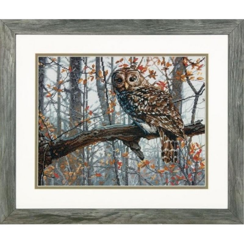 Embroidery kit Wise Owl Embroidery kit Wise Owl