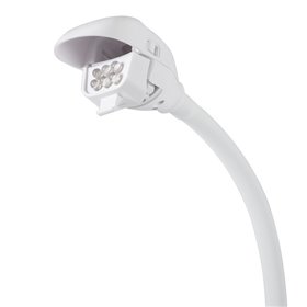 Multi-use magnifying lamp