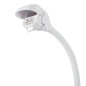Multi-use magnifying lamp