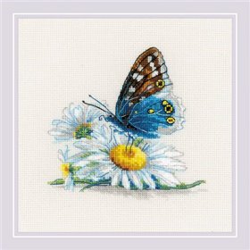 Kit de broderie Beauté fragile Kit de broderie Beauté fragile