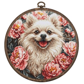 Luca-S Kit de broderie Spitz