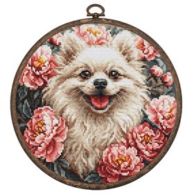 Kit de broderie Spitz Kit de broderie Spitz