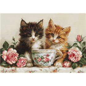 Kit de broderie Deux chatons Kit de broderie Deux chatons