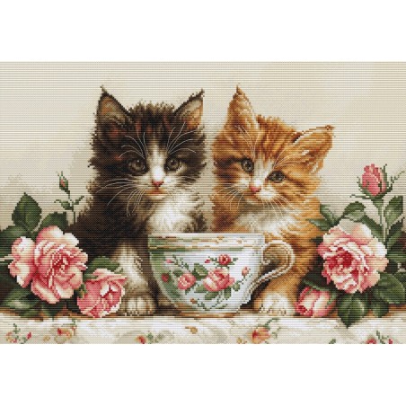 Kit de broderie Deux chatons