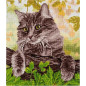Embroidery kit Cat