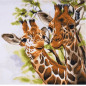 Kit de broderie Girafes