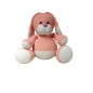 Rabbit Flappy peach