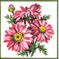 Borduurpakket Bloemen 3